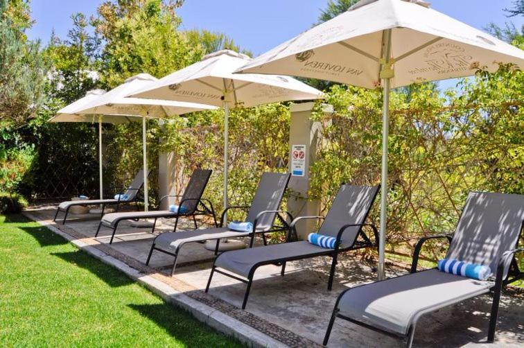 Thorntree Country Lodge Oudtshoorn Ngoại thất bức ảnh