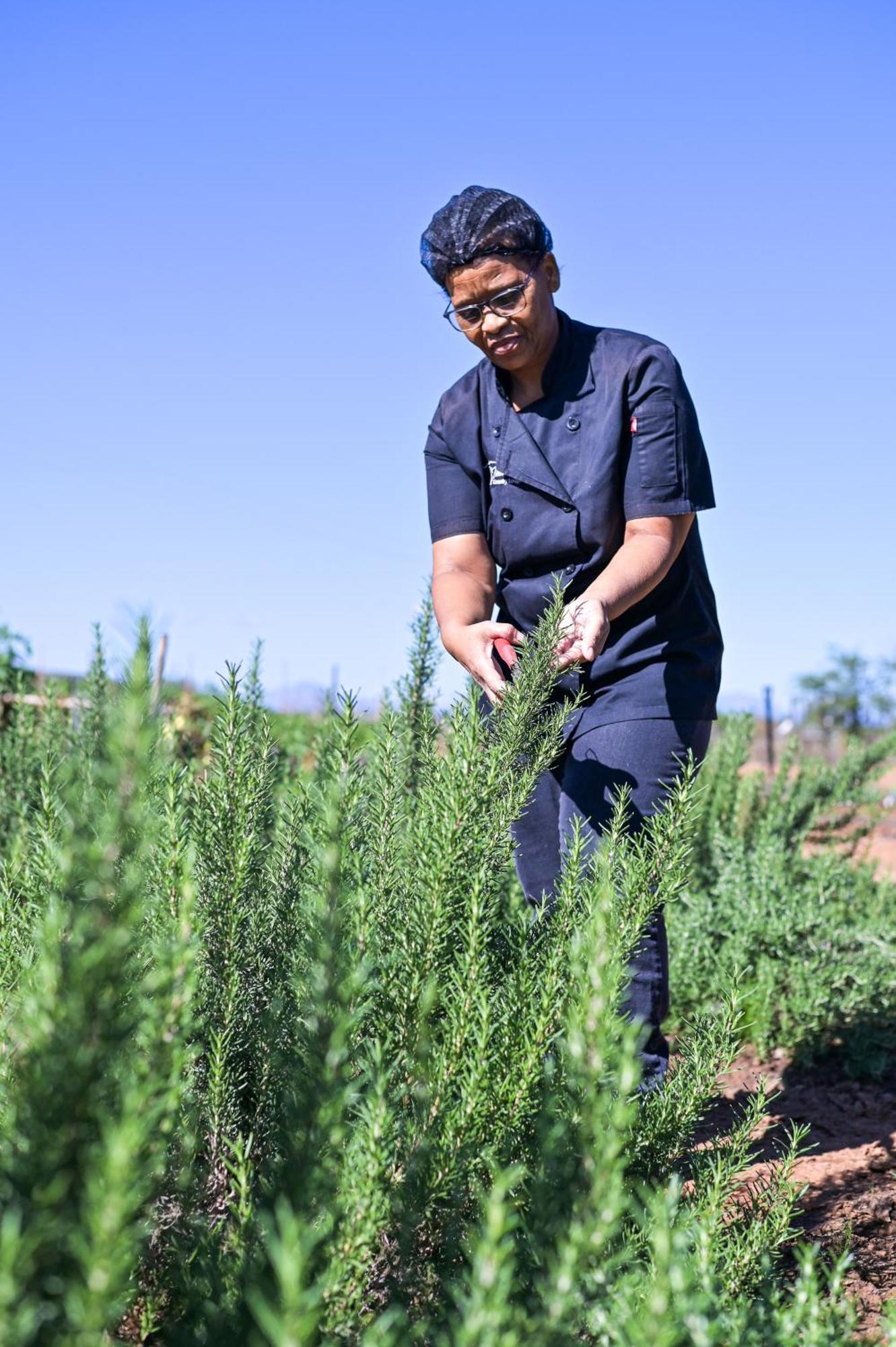 Thorntree Country Lodge Oudtshoorn Ngoại thất bức ảnh